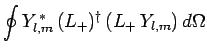 $\displaystyle \oint Y_{l,m}^{ \ast} (L_+)^\dag (L_+ Y_{l,m}) d\Omega$