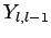 $Y_{l,l-1}$