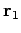 ${\bf r}_1$