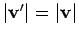$\vert{\bf v}'\vert=\vert{\bf v}\vert$